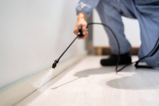 Licensed Pest Control service in Westport, NC - Show Me Pest Control