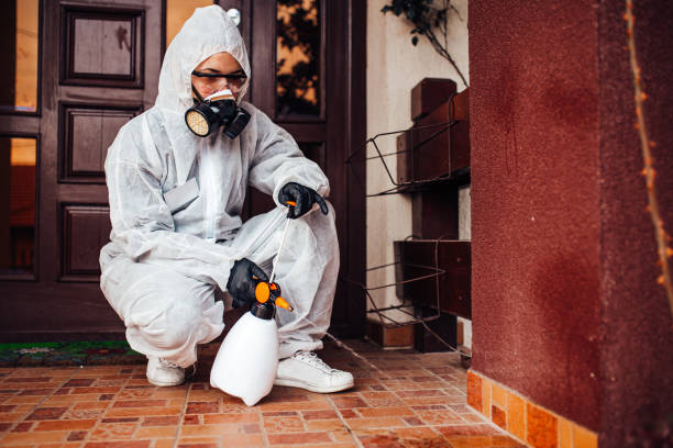 Reliable Ant Control contractor in Westport, NC by Show Me Pest Control